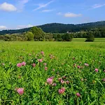 Frankenschleif Waldmuenchen