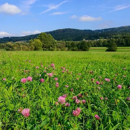 Frankenschleif Waldmuenchen